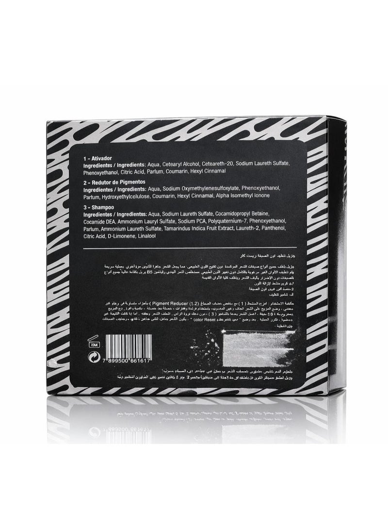 COLOR REST Iluminata Artistic Color Color Reset Professional Hair Color Remover - 4 Applications - Image 3